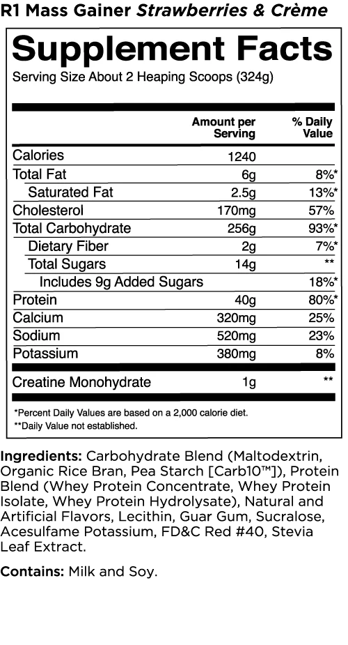 RULE1 MASS GAINER